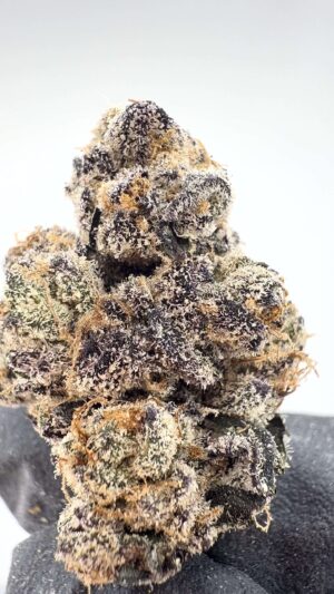 Gasnana