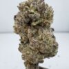 Secret Cookies-Mixed Light