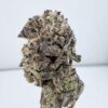 Secret Cookies-Mixed Light
