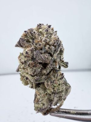 Secret Cookies-Mixed Light