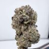Secret Cookies-Mixed Light