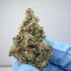 Cantaloupe Haze- SMALL BATCH