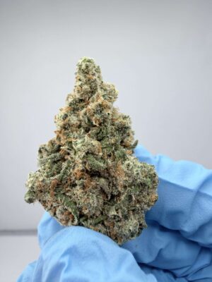 Cantaloupe Haze- SMALL BATCH