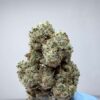 Cantaloupe Haze- SMALL BATCH