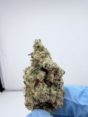 Cantaloupe Haze- SMALL BATCH