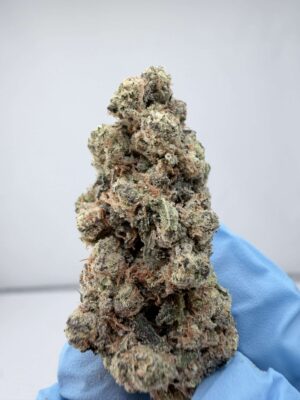 Garlic Glue
