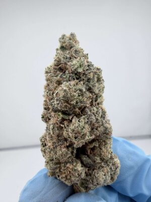 Garlic Glue