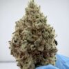 Blue Crack