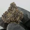 Hubba Hubba x Zebra Ztripez-Small Batch
