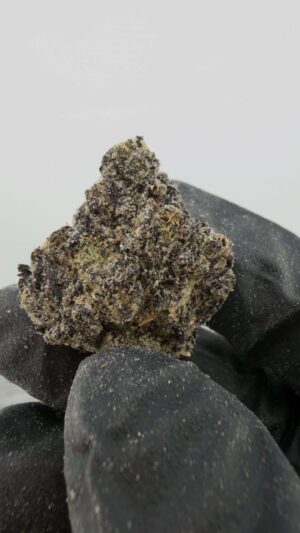 Hubba Hubba x Zebra Ztripez-Small Batch