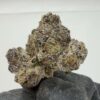 Hubba Hubba x Zebra Ztripez-Small Batch