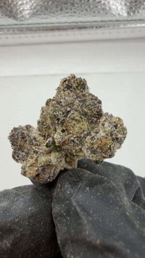 Hubba Hubba x Zebra Ztripez-Small Batch