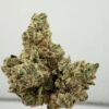 Lemon Tree - PG Cut