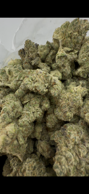Lemon Tree - PG Cut