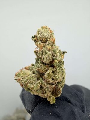 King Louie OG - Smalls