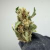 Super Lemon Haze - Smalls