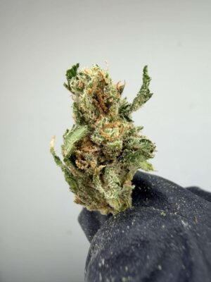 Super Lemon Haze - Smalls