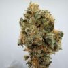 Original Bubblegum