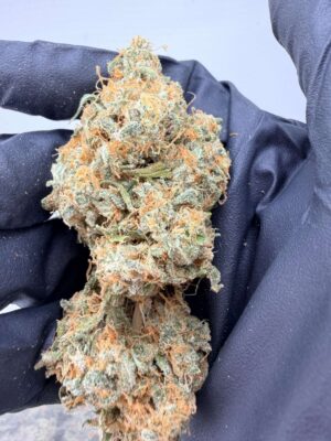 Original Bubblegum