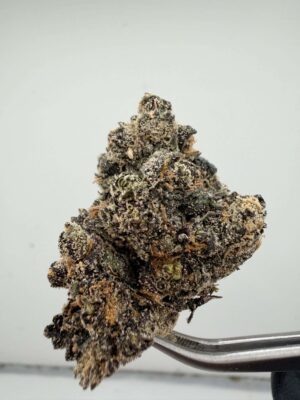 Bubba Bubba