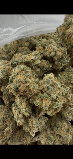 Original Bubblegum