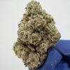 Plum Popperz By Super Dope