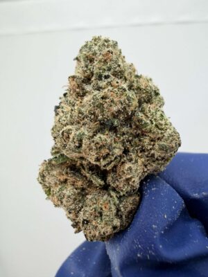 Plum Popperz By Super Dope