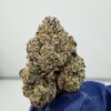Plum Popperz By Super Dope