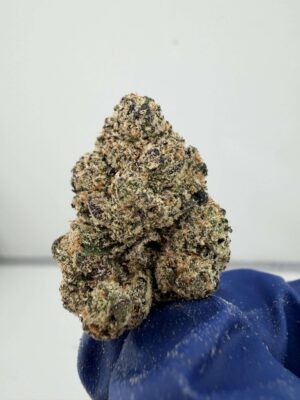 Plum Popperz By Super Dope