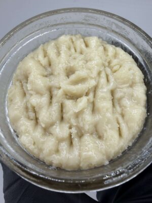 T1+ Exotic Rosin- Purple Papaya
