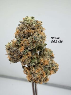 Variety Pack 14G