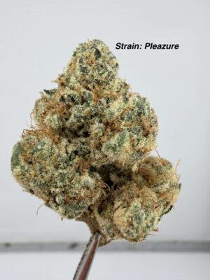 Pleazure