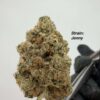 Variety Pack 14G