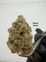 Variety Pack 14G - Image 4