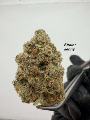 Variety Pack 14G