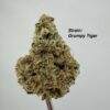 Variety Pack 10.5G - Wood Wide Strains