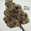 Variety Pack 10.5G - Wood Wide Strains