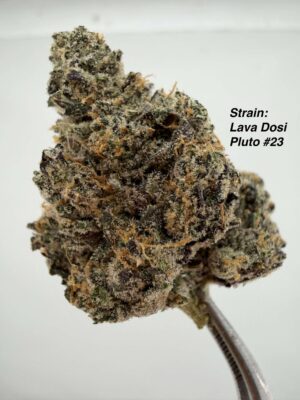 Variety Pack 10.5G - Wood Wide Strains