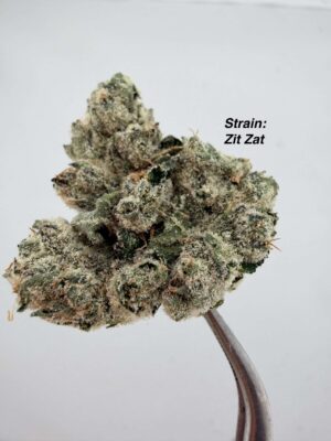 Variety Pack 14G