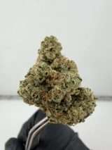 Headbanger - Image 2