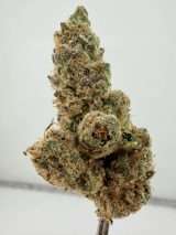 Lemon Frosting - Small Batch