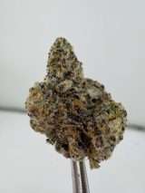 Formula One - Image 2