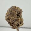 Grape Ape Stompers