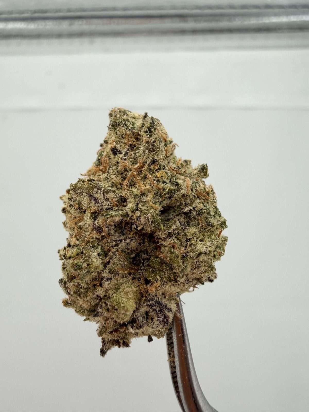 Grape Ape Stompers