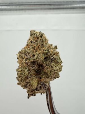 Grape Ape Stompers