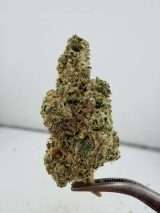 Cap Junky x Gas tank