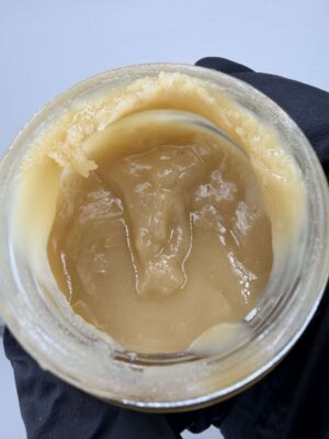 T1- Rosin Black Maple