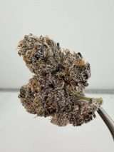 Hello My Name Is Runtz