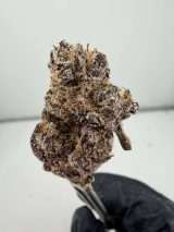 Hello My Name Is Runtz - Image 2