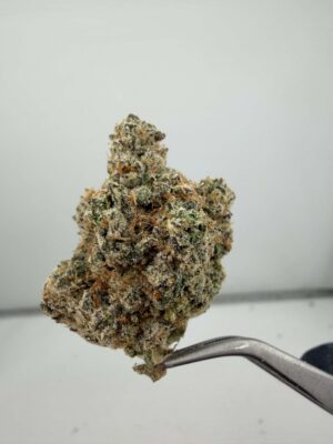 LA Pop Rocks